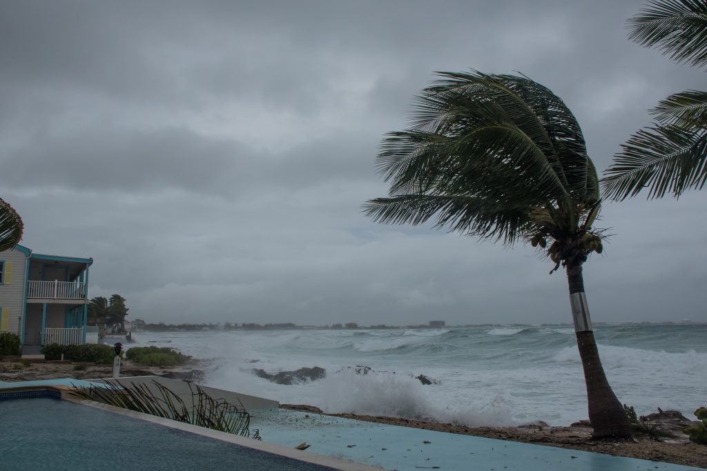 ENHANCING BUSINESS CONTINUITY AND REPUTATION - palm trees and shoreline during windy day, hurricane concept for disaster preparedness and the importance of quality on-hold messages during extreme weather and disaster events - on hold marketing concept